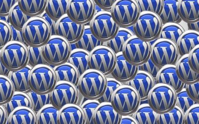 Our Favorite WordPress Plugins