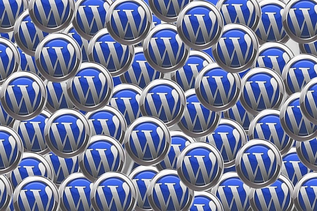 favorite wordpress plugins