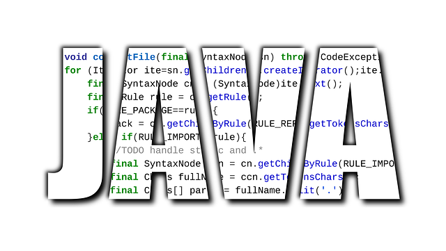 Programming Languages for Mobile App Development