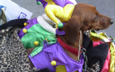 New Orleans Mardi Gras: History, Traditions, Parades, and Throws