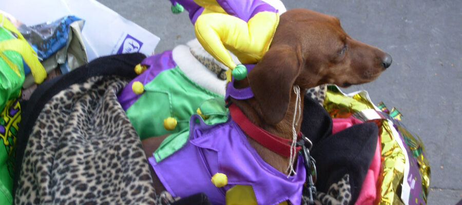 New Orleans Mardi Gras: History, Traditions, Parades, and Throws